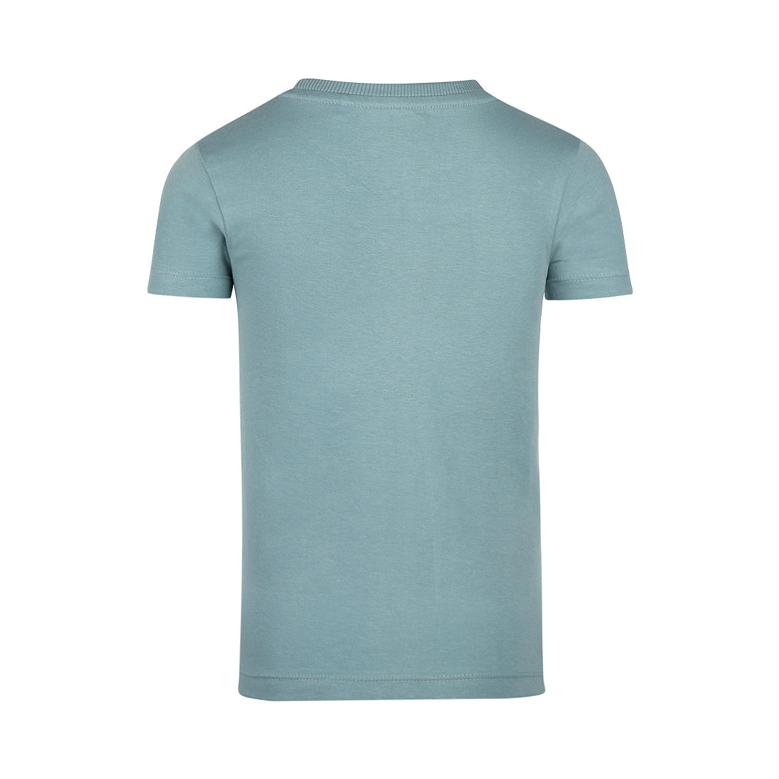 プリントTシャツ 水色 ライジングサン