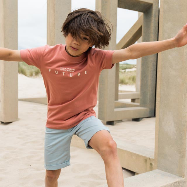 キッズ ボーイズ T-shirt ss (Faded red)